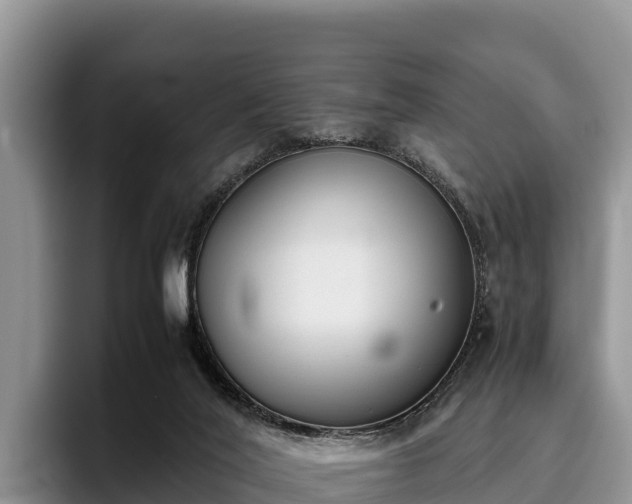 X0000095890020200801181235