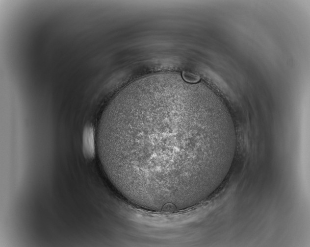 X0000095890022200801181235