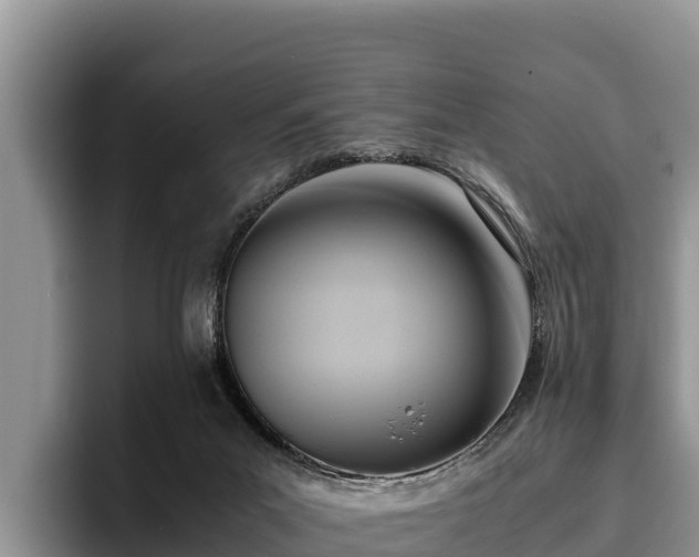 X0000095890023200801181235