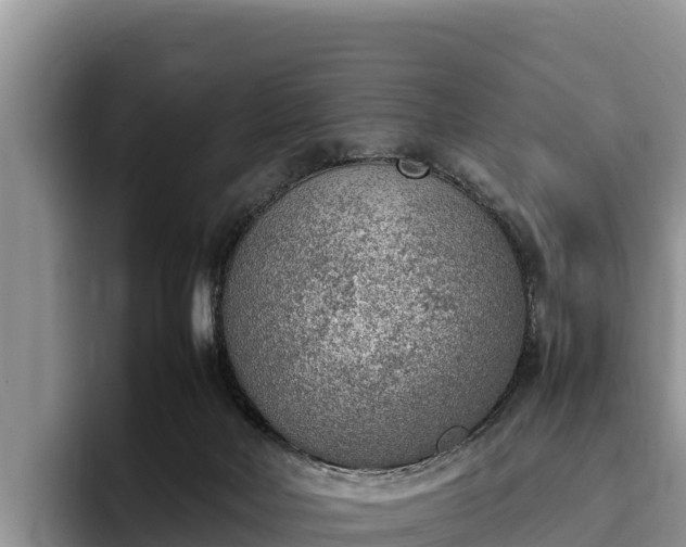 X0000095890026200801181235
