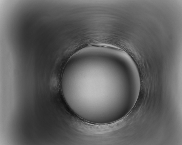 X0000095890031200801181235