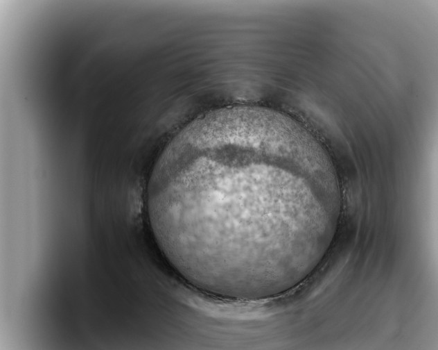 X0000095890032200801181235