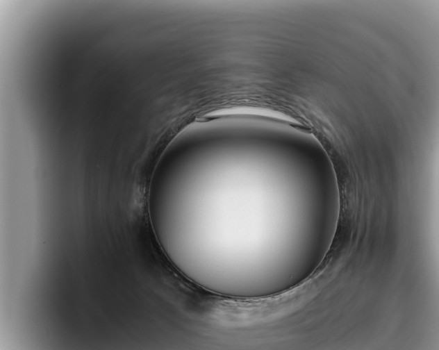 X0000095890033200801181235