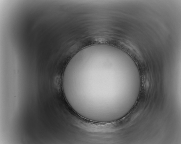 X0000095890036200801181234