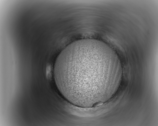 X0000095890038200801181234