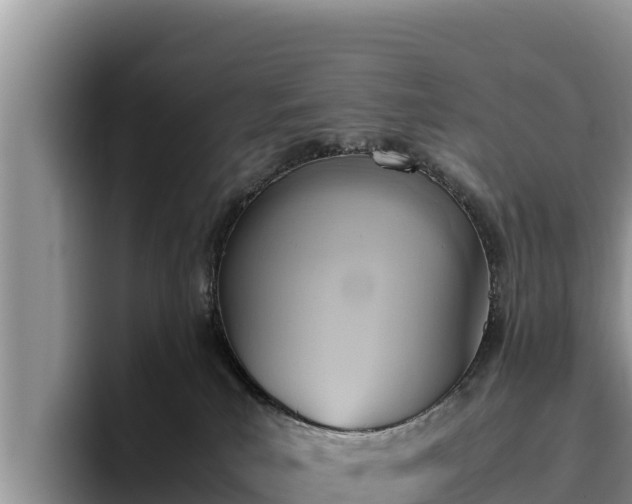 X0000095890039200801181234