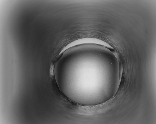 X0000095890041200801181234