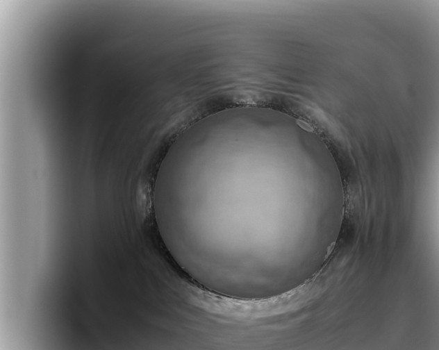X0000095890043200801181234