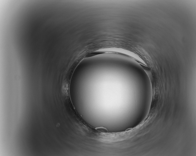 X0000095890045200801181234