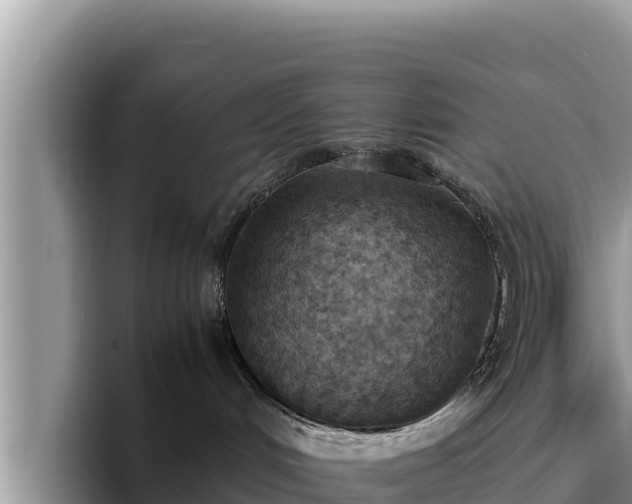 X0000095890048200801181234