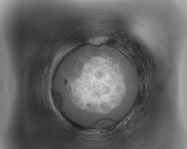 X0000095890049200801181234