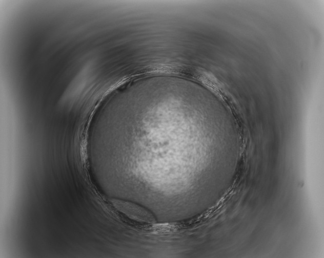 X0000095890050200801181234