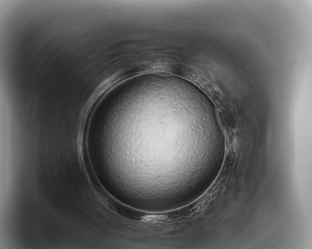 X0000095890051200801181234