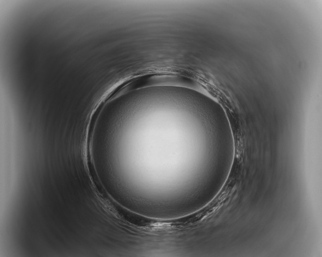 X0000095890052200801181234