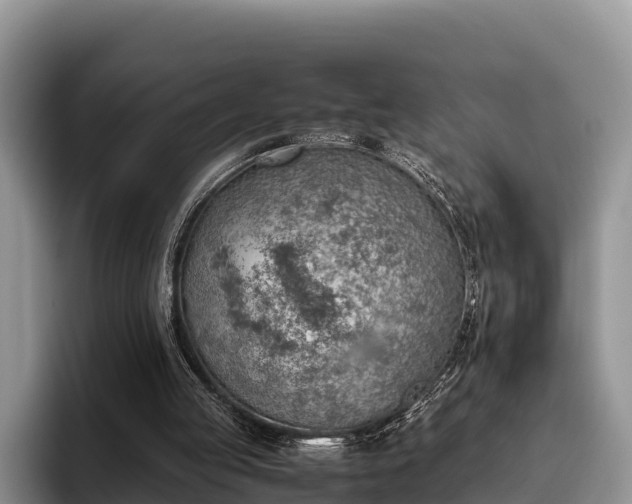 X0000095890053200801181234