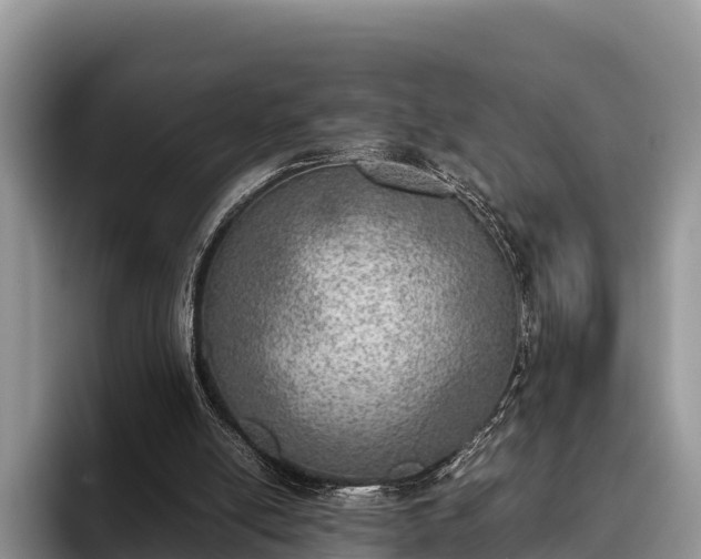 X0000095890054200801181234