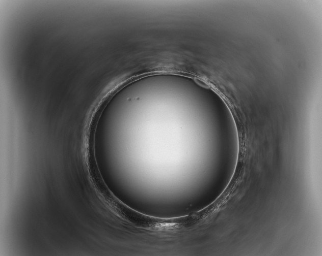 X0000095890055200801181234