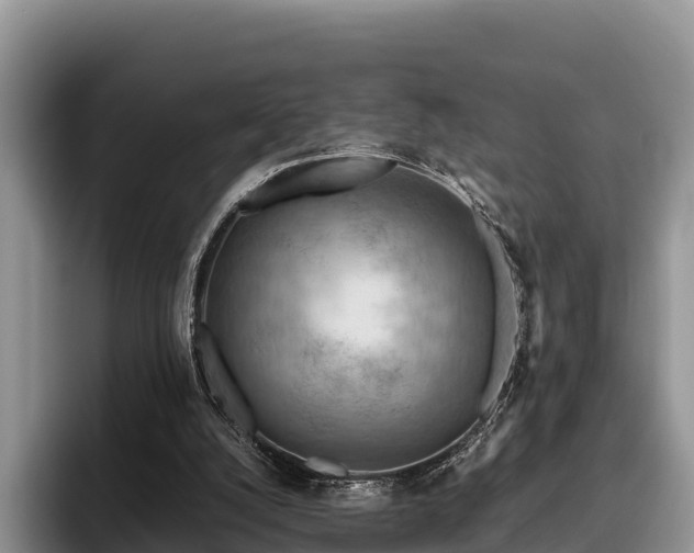 X0000095890056200801181234