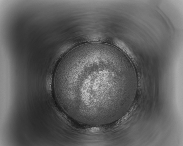 X0000095890058200801181234