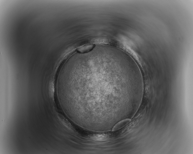 X0000095890059200801181234