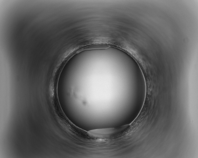 X0000095890060200801181234