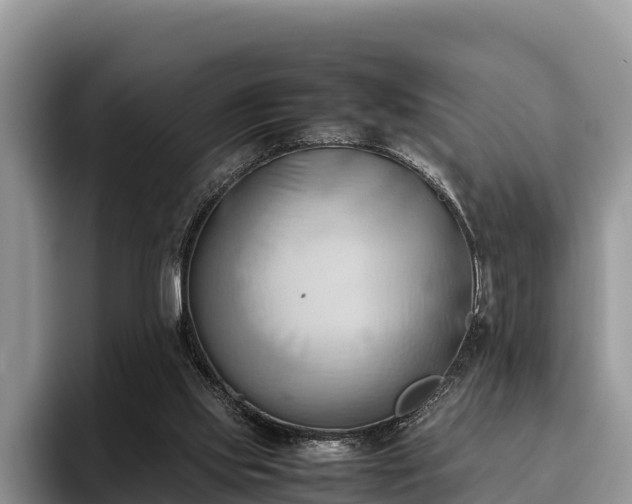 X0000095890061200801181234