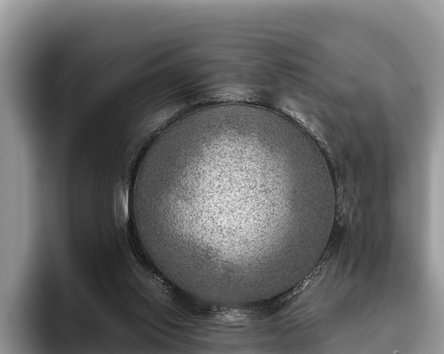 X0000095890062200801181234