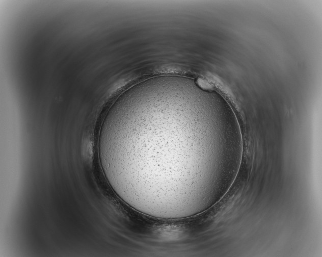X0000095890063200801181234