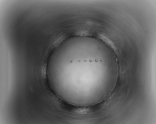 X0000095890065200801181234