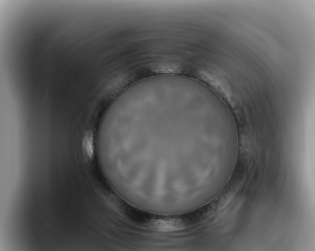 X0000095890069200801181234