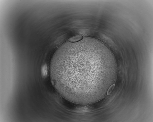 X0000095890075200801181234