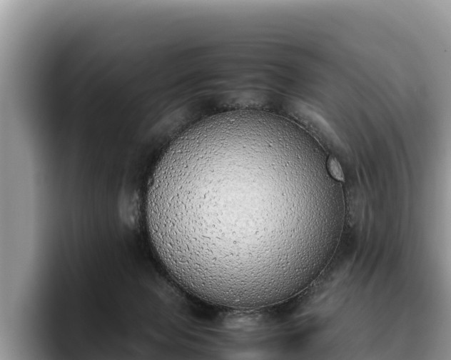 X0000095890077200801181234