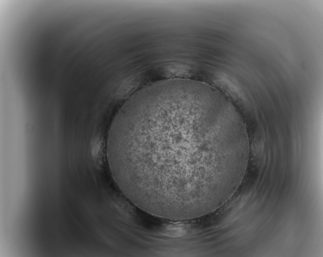 X0000095890079200801181234
