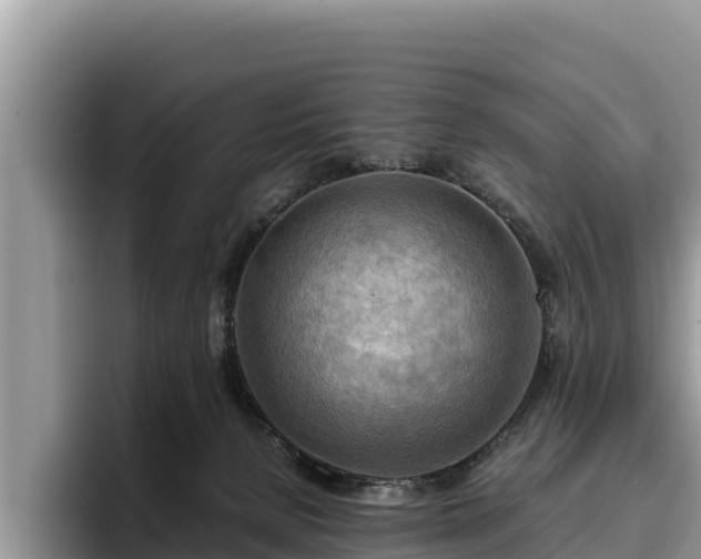 X0000095890080200801181234