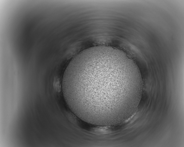 X0000095890086200801181234