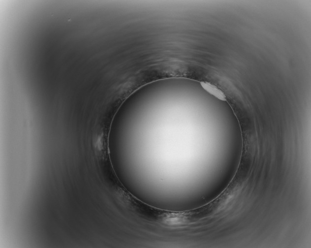 X0000095890088200801181234