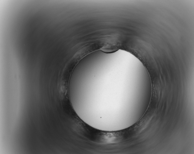 X0000095890091200801181234
