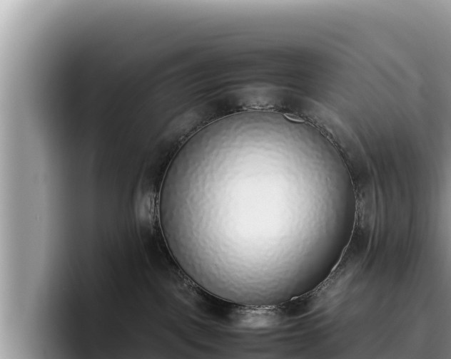 X0000095890093200801181234
