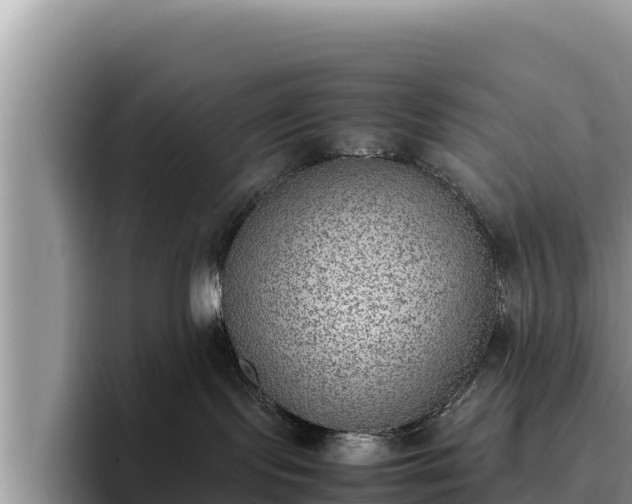 X0000095890095200801181234
