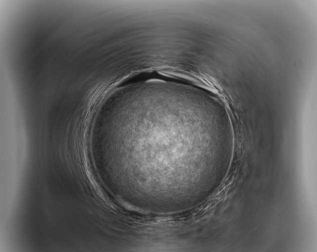 X0000095890097200801181234