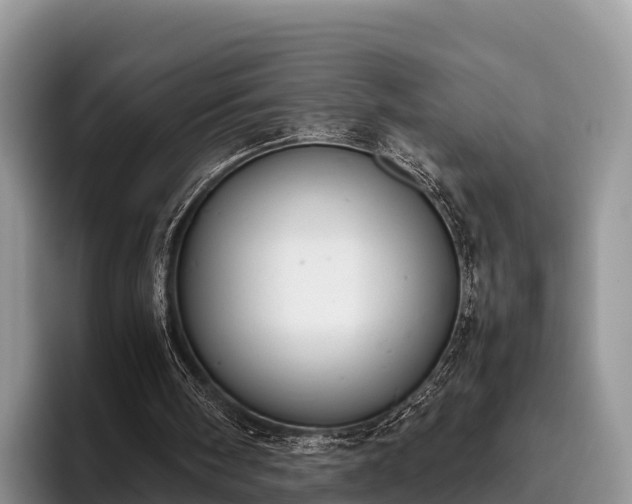 X0000095890098200801181234