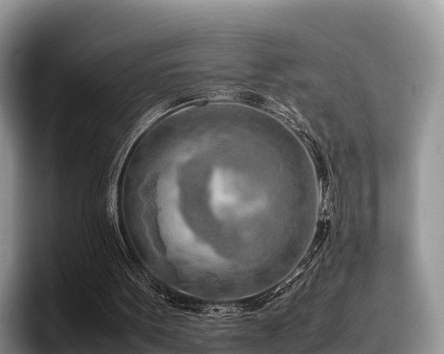 X0000095890099200801181234