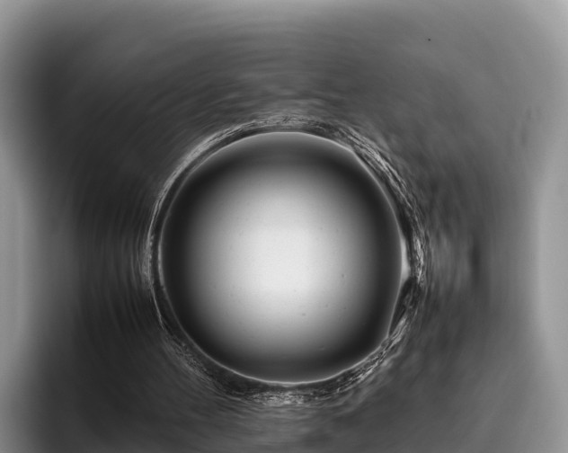 X0000095890100200801181234