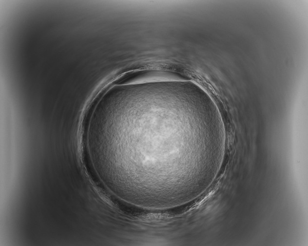 X0000095890101200801181234