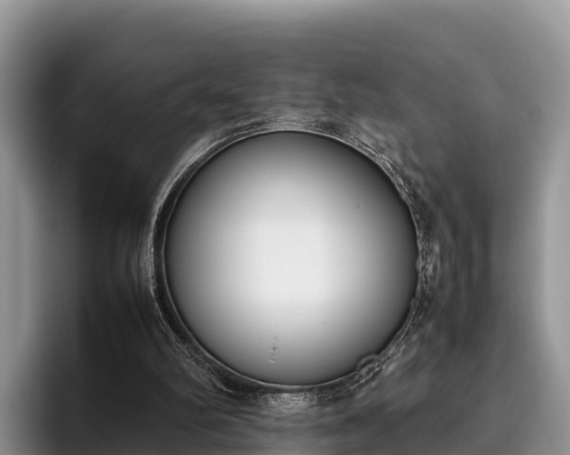 X0000095890102200801181234
