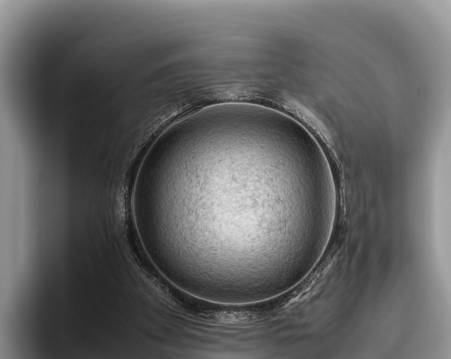 X0000095890105200801181234