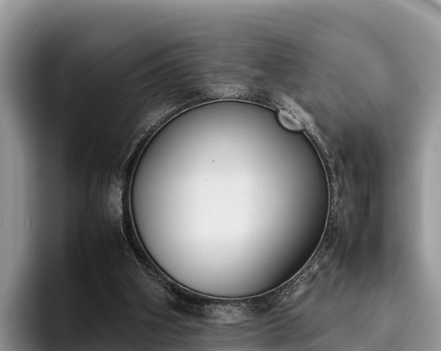 X0000095890106200801181234