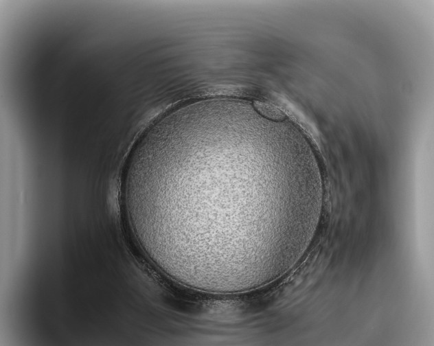 X0000095890107200801181234