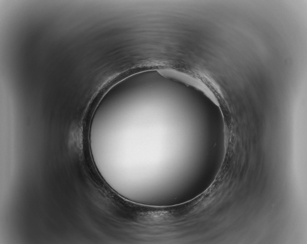 X0000095890108200801181234