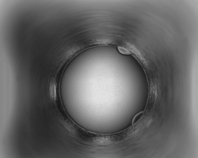 X0000095890110200801181234